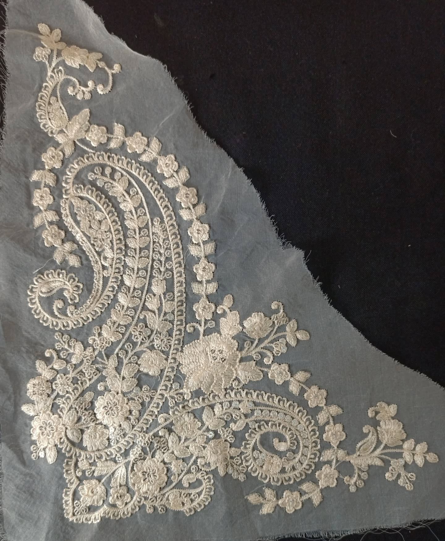 503539271_17850471864480789_6588639836576796092_n